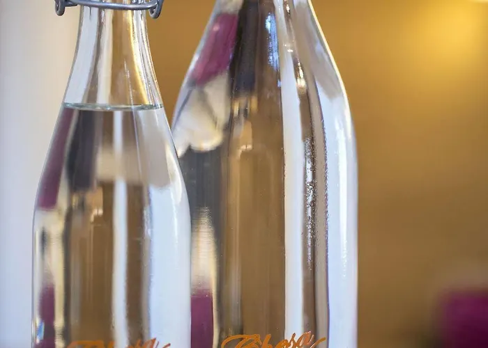 Hotel Chesa Valese By Sisters 4*