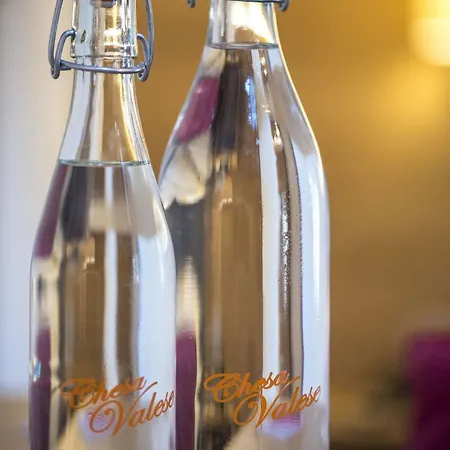 Szálloda Chesa Valese By Sisters 4*